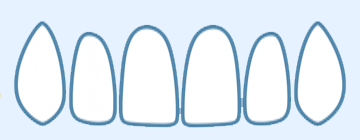 Dientes superiores